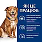 Сухий корм (Хіллс) для собак при харчовій алергії та атопічному дерматиті Hill's Derm Complete 12 кг, фото 3