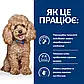 Сухий корм для собак міні, при захворюваннях шлунково-кишкового тракту Hill's Gastrointestinal Biome Mini 1 кг, фото 2