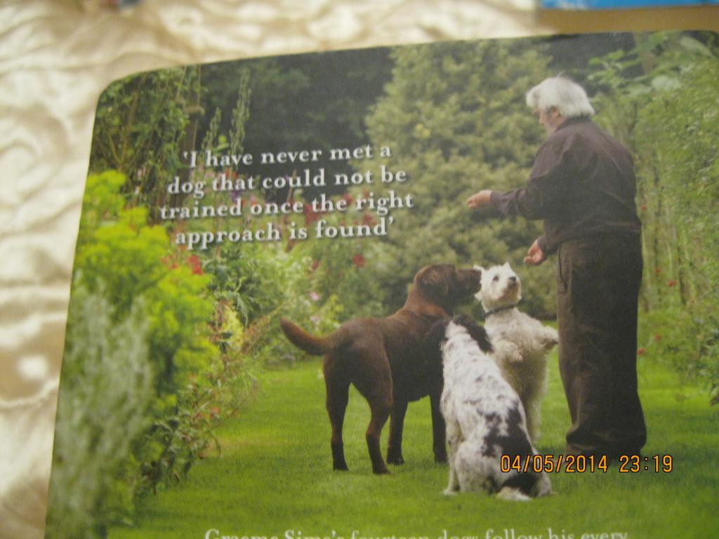 Книга на английском языке THE DOG WHISPERER - фото 3 - id-p360570623