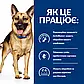 Лікувальний корм (Хіллс) для собак при діареї та розладах травлення Hill's Gastrointestinal Biome10 кг, фото 2