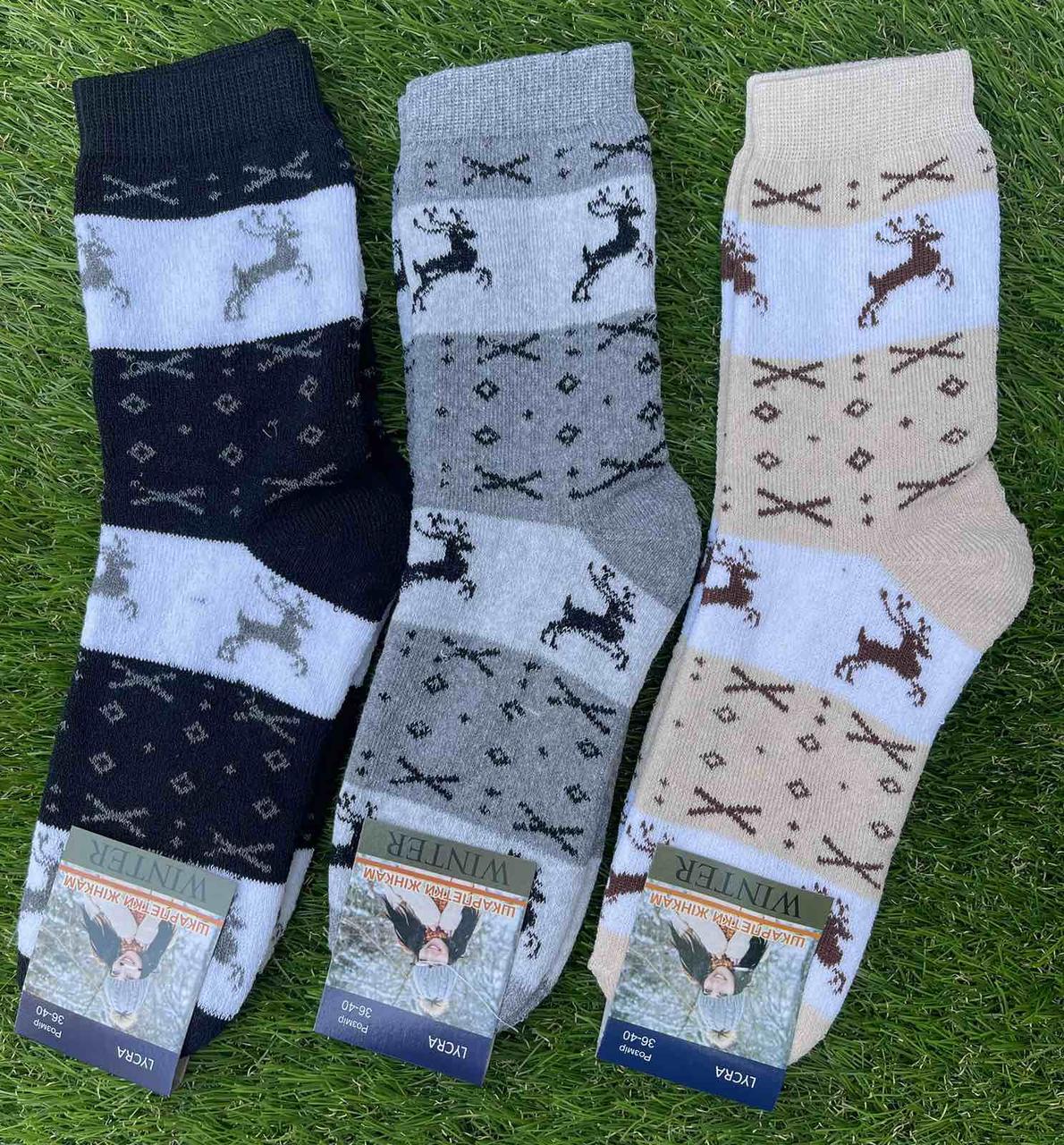 Жіночі шкарпетки зимові махрові "Winter" Україна розмір 36-40 (від 12 пар)