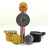 Бездротовий Bluetooth караоке-мікрофон DM Karaoke WS668 + чохол, фото 3