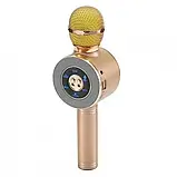 Бездротовий Bluetooth караоке-мікрофон DM Karaoke WS668 + чохол, фото 8