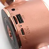 Бездротовий Bluetooth караоке-мікрофон DM Karaoke WS668 + чохол, фото 9