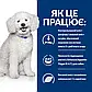 Сухий корм для собак підтримка функції нирок на ранній стадії Hill's Prescription Diet k/d Early Stage1,5 кг, фото 2