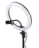 Кільцева LED лампа M-33 RING FILL LIGHT (33см), Кільцеве світло, Світлова лампа кільце, фото 2