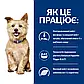 Сухий корм для собак для підтримки функції нирок Hill's Prescription Diet k/d 1,5 кг, фото 3