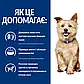 Сухий корм для собак для підтримки функції нирок Hill's Prescription Diet k/d 1,5 кг, фото 4