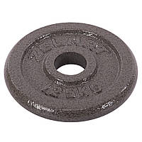 Блины (диски) для штанги стальные серые d-30 мм Zelart TA-7789-1_25 (1 шт х 1.25 кг)