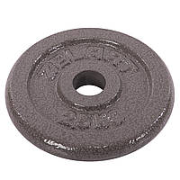 Блины (диски) для штанги стальные серые d-30 мм Zelart TA-7789-2_5 (1 шт х 2.5 кг)