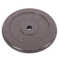 Блины (диски) для штанги стальные серые d-30 мм Zelart TA-7789-20 (1 шт х 20 кг)