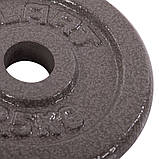 Диски (диски) для штанги сталеві сірі d — 30 мм Zelart TA-7789-2_5 (1 шт. х 2.5 кг), фото 4