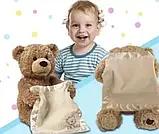 Дитяча інтерактивна іграшка Ведмедик Peekaboo Bear (Пікабу) Brown 30 см, Ведмедик, що говорить, Розумний ведмедик іграшка, фото 4
