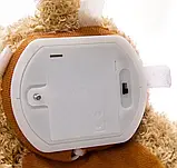 Дитяча інтерактивна іграшка Ведмедик Peekaboo Bear (Пікабу) Brown 30 см, Ведмедик, що говорить, Розумний ведмедик іграшка, фото 5