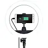 Кільцева LED лампа ZB-R14 (1 крепл.тел.) 220V (35см) + штатив, Кільцеве світло, Світлова лампа кільце, фото 7