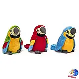 Інтерактивна іграшка Папуга, що говорить (червоний, зелений), Дитяча м'яка іграшка, Іграшка-повторюшка, фото 3