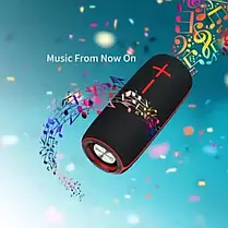 Портативна колонка Hopestar P21, Блютуз колонка, Колонка для музики, Колонка для музики, фото 4