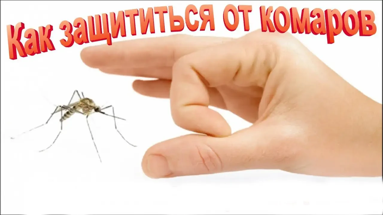 Мини ультразвуковой отпугиватель комаров Remiling AN-A329 | ловушка для насекомых | приманка для комаров - фото 5 - id-p1566513409