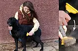 Щітка фурмінатор для грумінгу собак і котів FUBnimroat, Гребінець для шерсті тварин, фото 5