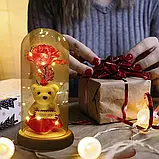Троянда в колбі з ведмедиком LED Червона, Вічна троянда під склом, фото 8
