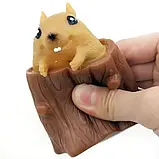 Білка антистрес, Ховрах у дуплі, Фуфлик, Білка в дуплі, Іграшка-антистрес, фото 6