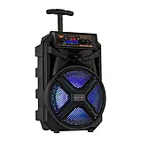 Переносна акумуляторна колонка з мікрофоном KOLAV-S812 8"/USB/TF/FM/Bluetooth, Колонка для музики, фото 4