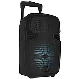 Переносна акумуляторна колонка з мікрофоном KOLAV-F16 8"/USB/TF/FM/Bluetooth, Колонка-валіза, фото 4