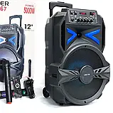 Переносна акумуляторна колонка з мікрофоном LiGE-1767 12"/USB/TF/FM/Bluetooth, Колонка-валіза, фото 6