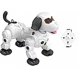 Собака робот 777-602 на пульті у вигляді годинника, Інтерактивна іграшка, Дитяча іграшка цуценя, фото 8