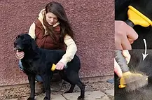 Щітка фурмінатор для грумінгу собак і котів FUBnimroat, Гребінець для шерсті тварин, фото 5