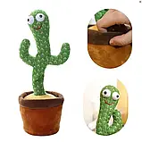 Танцюючий кактус Dancing Cactus TikTok, Іграшка кактус повторюшка, фото 4