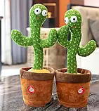 Танцюючий кактус Dancing Cactus TikTok, Іграшка кактус повторюшка, фото 7