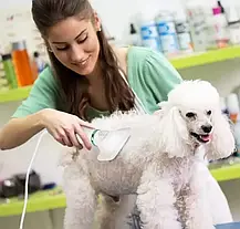 Пилосос-гребінець для шерсті PET GROOMING DRYER, Гребінець для собак і котів, фото 6