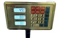 Ваги ACS 300kg-350kg Fold 40*50 Domotec із залізною головою, Торгові ваги Домотек, фото 4