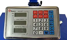 Ваги ACS 300kg-350kg Fold 40*50 Domotec із залізною головою, Торгові ваги Домотек, фото 6