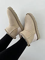 Жіночі черевики UGG MINI MUSTARD SEED LACQUER premium теплі уги хутро