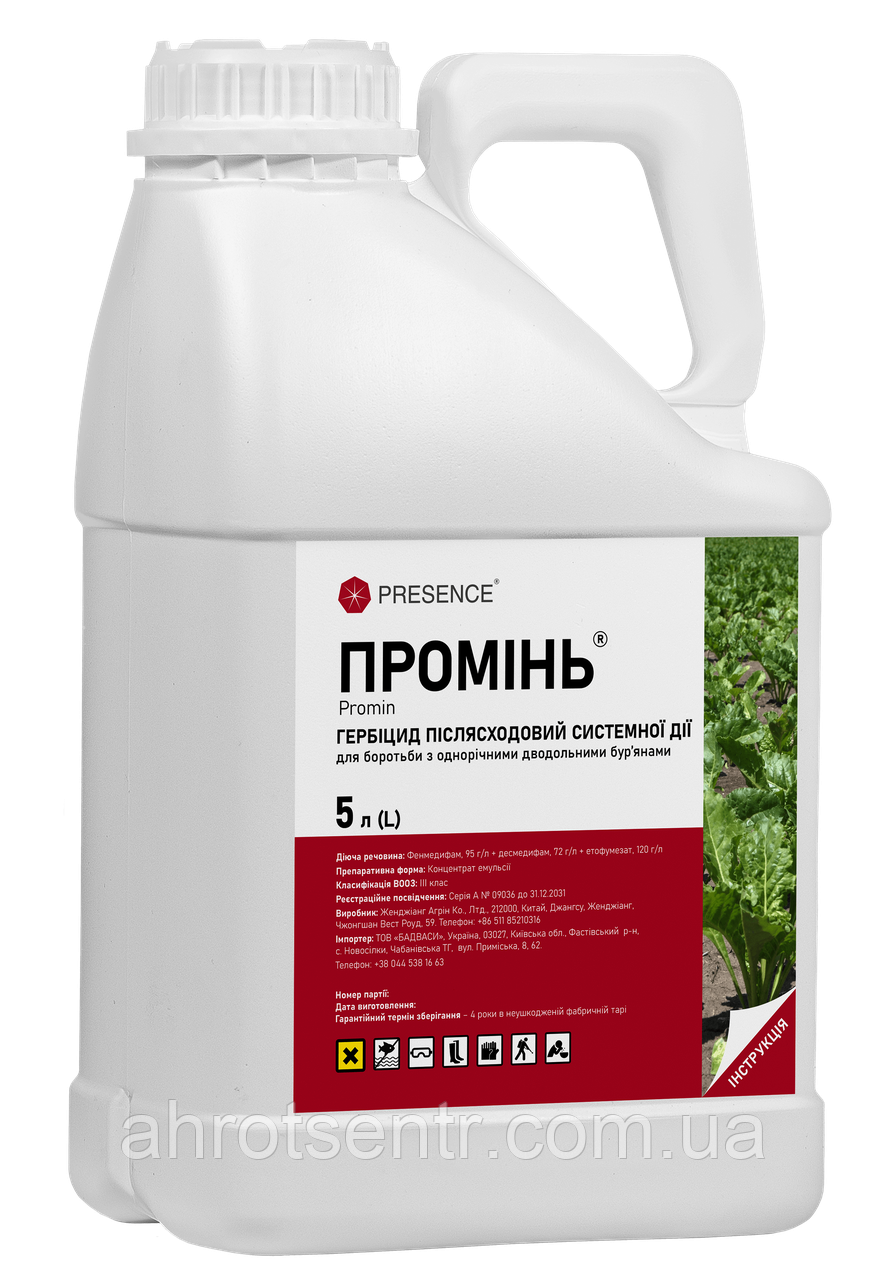 Гербіцид Промінь 5 л Presence / Презенс