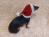 Новогодняя шапка санты для собаки ручной работы, фото 5