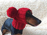Шапка снуд шерсть для собаки с помпонами ручной работы,зимняя теплая шапка для таксы, фото 9