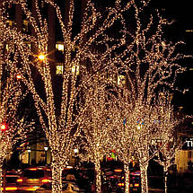 Гірлянда вулична 800 LED 50 м білий, мультиколор, синій, теплий білий, 8 режимів, фото 4