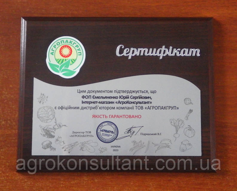 Сау қынап жақсы сезінеді