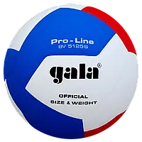 М'яч волейбольний Gala Pro-Line BV5125S, розмір 5