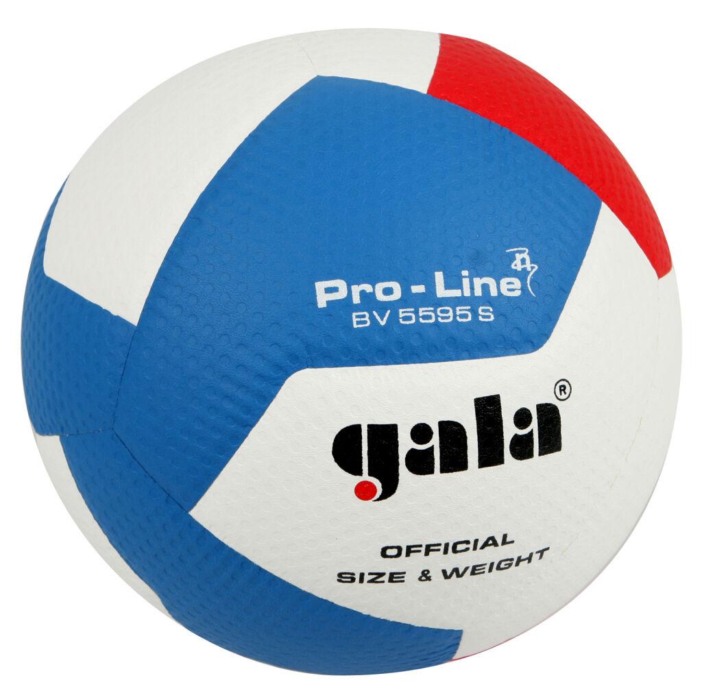 М'яч волейбольний Gala Pro-Line BV5595S, розмір 5
