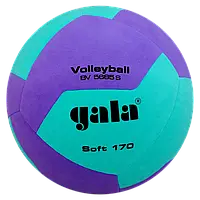 Мяч волейбольный Gala Soft 170 BV5685S, размер 5