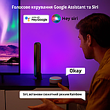 Комплект - Світлодіодні панелі Philips Hue Play Color Ambiance 2 шт. Чорні + Блок керування Philips Hue Bridge, фото 5