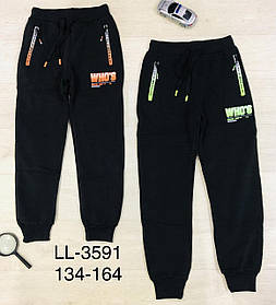 Спортивні утеплені штани для хлопчика гуртом, Sincere, 134-164 см, No LL-3591
