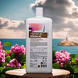 Концентрований мийний засіб для генерального прибирання санітарних кімнат Білизна WC 1000 мл, фото 7