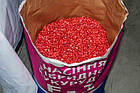 Насіння кукурудзи кормової Розівський F1, 1 кг, фото 2