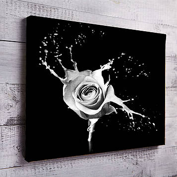 Чорно-біла картина на полотні "Сплеск білої троянди"