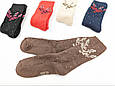 Жіночі високі шкарпетки махрові шкарпетки KBS однотонні КВІТКА 37-40 мікс кольорів 6 пар\уп, мікс кольорів, фото 3